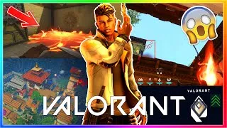 Miniature : TOP 10 STUFF PHOENIX SUR HAVEN !