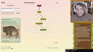 Miniature : On joue à metazooa