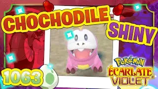 Miniature : ELLE EST LA !!!! CHOCHODILE SHINY 1063 OEUF !!! POKEMON SCARLET & VIOLET