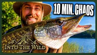 Miniature : Fishing Trip Gone Wild 🎣 | Pike, Bass & Big Catches