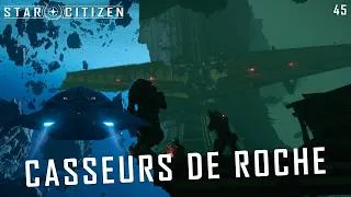 Miniature : Casseurs de roche - Star Citizen