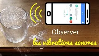 Miniature : Vibration sonore de grains de sel