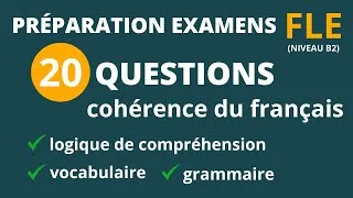 Miniature : Préparation examens FLE : logique de compréhension, grammaire, vocabulaire