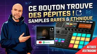 Miniature : J'ai créé une IA pour trouver des samples rares (Zéro Code !)