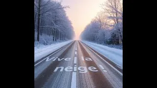 Miniature : Je vous filmes comment il neiges chez-moi. (Trop content !!!) :-)
