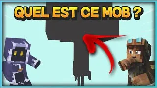 Miniature : Mais quel est ce mob ? ft.Oxilac