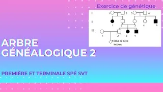 Miniature : Exercice génétique 🧬-arbre généalogique 2