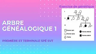 Miniature : Exercice génétique 🧬 - arbre généalogique 1