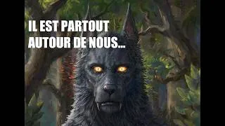 Miniature : J'AI ENQUÊTÉ sur le DOGMAN ! [Documentaire]