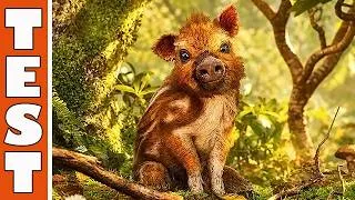 Miniature : (Test #432) Adorable Adventures | FR [PS5]