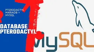 Miniature : [TUTO] COMMENT AJOUTER UNE DATABASE A PTERODACTYL [VPS]