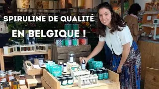 Miniature : Grande Nouvelle ! Découvrez la Spiruline de qualité en Magasin