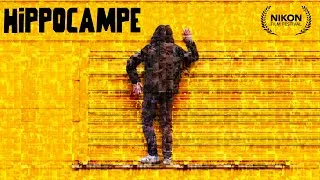Miniature : HIPPOCAMPE | Nikon Film Festival 2025