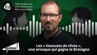 Miniature : Derrière les « tisseuses de rêves », une redoutable pyramide de Ponzi | Notre récap' de mai 2026