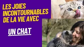 Miniature : Les joies incontournables de la vie avec un chat