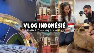 Miniature : Jakarta : pire ville d’Indonésie ? On a vérifié