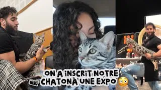 Miniature : Ils ont jugé notre chat 😳 (2ème expo)