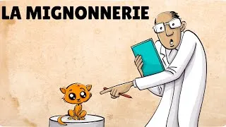 Miniature : Le pouvoir du mignon : les chatons peuvent-ils affûter notre intelligence ?😺