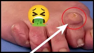 Miniature : Essayez de ne pas quitter la vidéo CHALLENGE