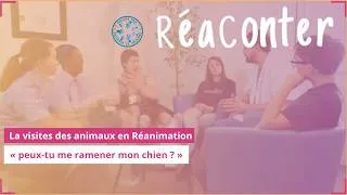 Miniature : La visite des animaux en Réanimation : « Peux-tu me ramener mon chien  ».