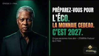 Miniature : La vérité qu'on vous cache sur l'Éco 2027 (Et comment sauver votre argent)