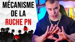 Miniature : Comment la Ruche PN établit son Emprise sur TOI