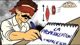 Miniature : LA PROPRIOCEPTION : le 6ème sens du corps humain