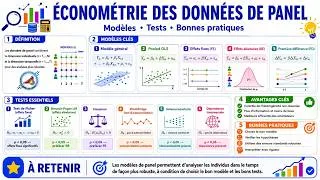 Miniature : Économétrie des données de panel : modèles, tests et bonnes pratiques