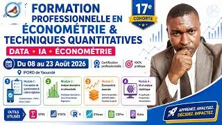 Miniature : Formation en Économétrie et Techniques Quantitatives : maîtrisez la Data