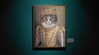 Miniature : Dame Louve, une chatte pas comme les autres !