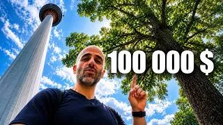 Miniature : Pourquoi cet arbre vaut si cher ?