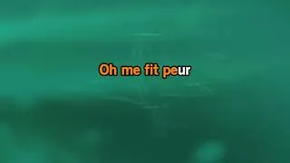 Miniature : Johnny Hallyday Quelques cris Karaoke