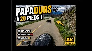 Miniature : 360° 8K🐻 PAPA OURS À 20 PIEDS ! 😲 | Rencontre INCROYABLE sur la 93A à Jasper 🇨🇦 |