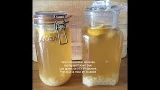 Miniature : KEFIR de fruits : préparation en images (version 2024)