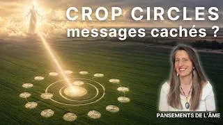 Miniature : Qui crée les Crop Circles ? Cachent-ils un message pour l'humanité ?