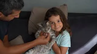 Miniature : Film de Famille