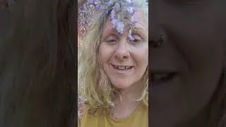 Miniature : Faire l'Âmour à la Vie... Rituel de connexion Tantrique avec la Glycine 😘🙏🌱 Inspire 
