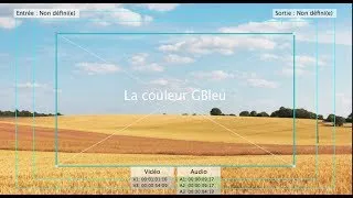 Miniature : La couleur GBLEU