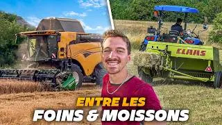 Miniature : J'AI ENFIN FINI LE FOIN… LA MOISSON COMMENCE !