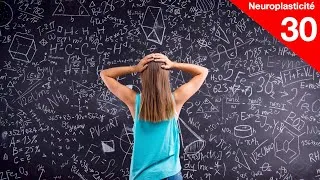 Miniature : Établir des liens pour mieux apprendre