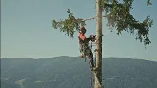 Miniature : 100 ans de STIHL