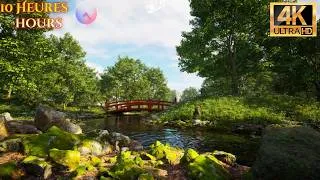 Miniature : 🌉 10H Nature 4K – Rivière, Forêt & Pont Zen | Relaxing River & Forest Ambience