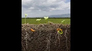 Miniature : A fertile Earth once more
