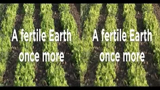 Miniature : A fertile Earth once more (3D)