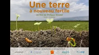 Miniature : UNE TERRE A NOUVEAU FERTILE