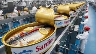 Miniature : How Are Canned Sardines Made? The Incredible Process Behind Billions of Cans