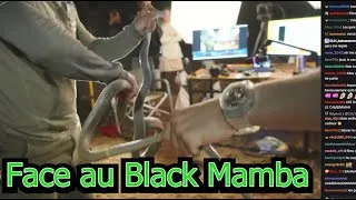 Miniature : Anyme face au serpent le plus DANGEREUX du monde - Le Black Mamba