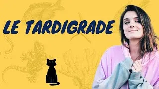 Miniature : Marie et son tardigrade ! - Stream Science #5