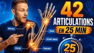 Miniature : Anatomie des Articulations du Membre Supérieur - 42 Articulations en 25 min !