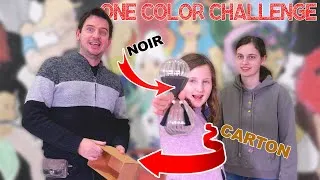 Miniature : ONE COLOR CHALLENGE Noir VS Blanc / Carton (On Construit une Cabane d'une Seule Couleur Compilation)
